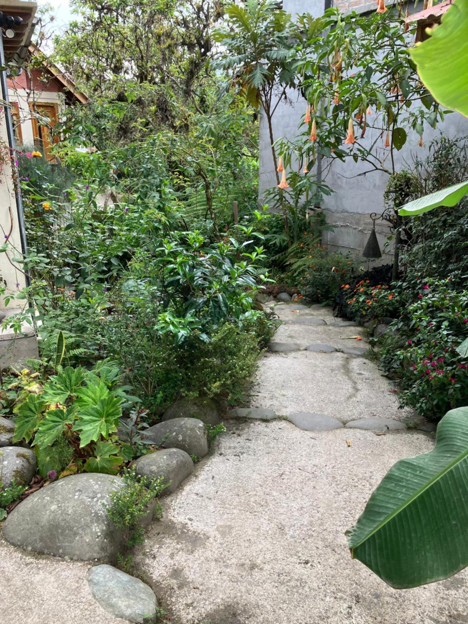 Casa Del Rio En Mindo Bed & Breakfast Exterior photo