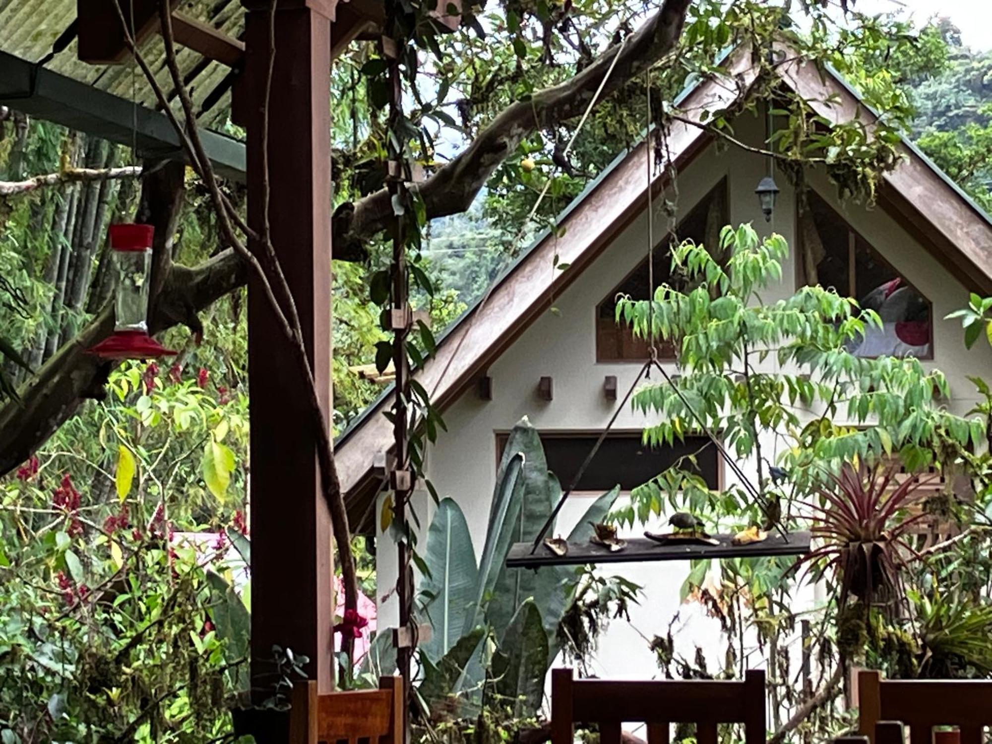 Casa Del Rio En Mindo Bed & Breakfast Exterior photo