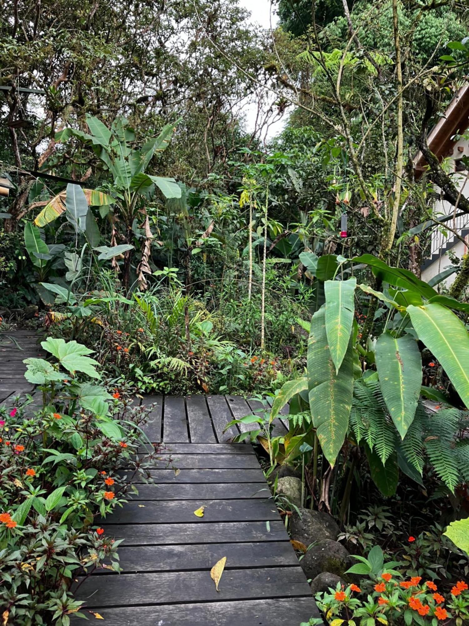 Casa Del Rio En Mindo Bed & Breakfast Exterior photo