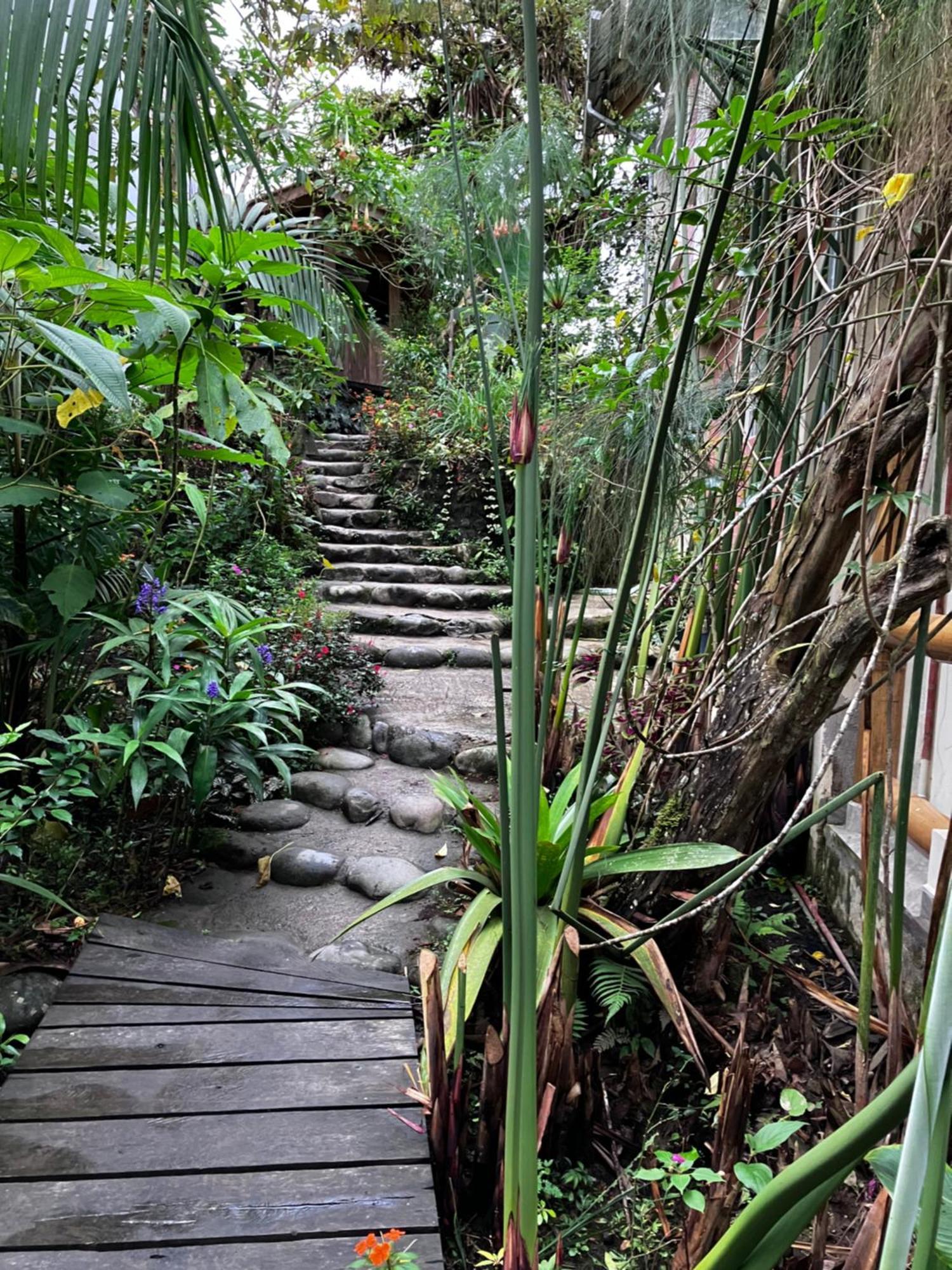 Casa Del Rio En Mindo Bed & Breakfast Exterior photo