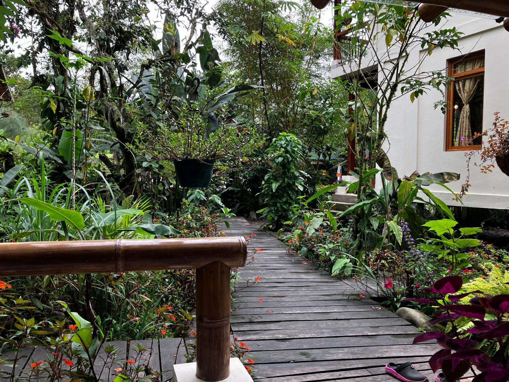 Casa Del Rio En Mindo Bed & Breakfast Exterior photo