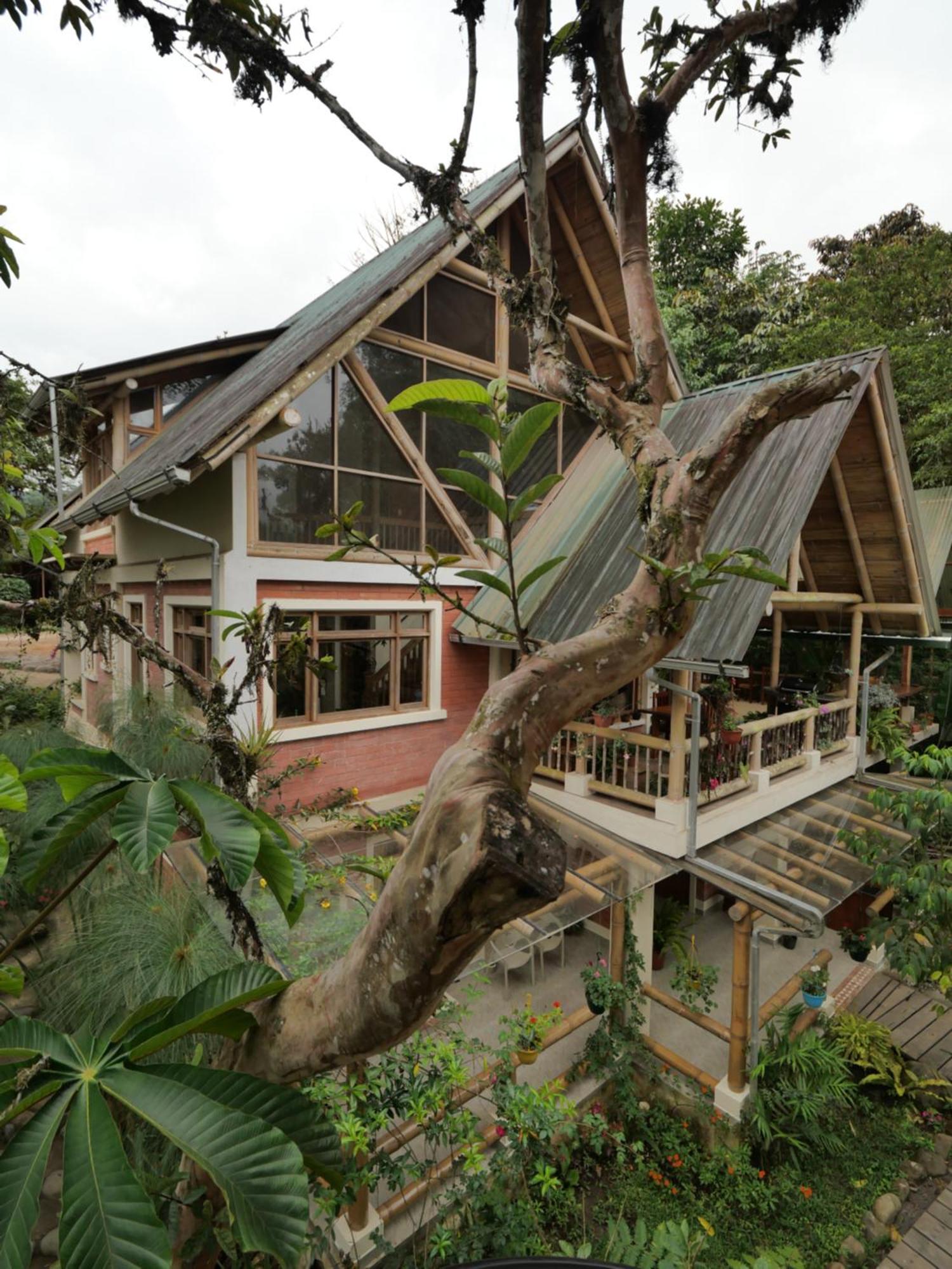 Casa Del Rio En Mindo Bed & Breakfast Exterior photo